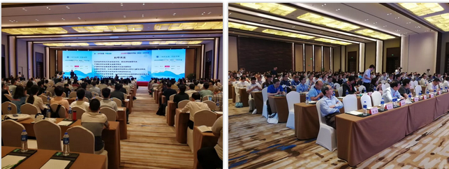 公海彩船·6600(中国游)官方网站