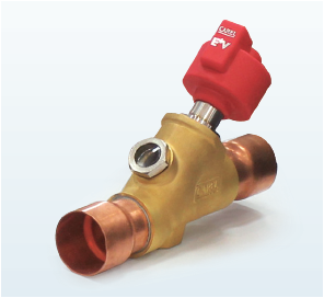 公海彩船·6600(中国游)官方网站