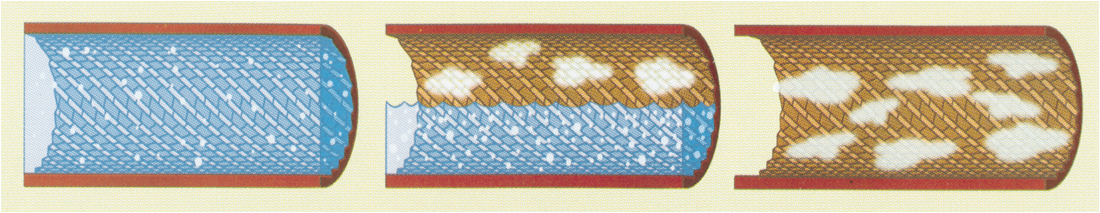公海彩船·6600(中国游)官方网站